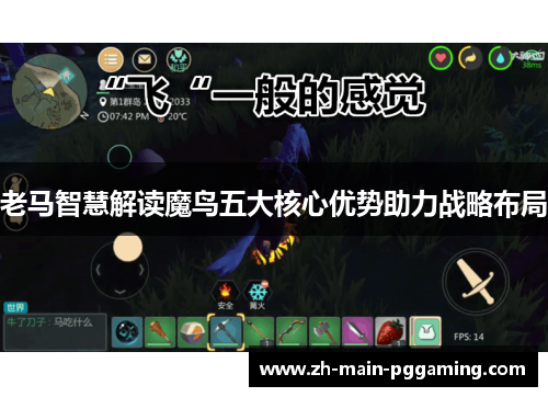 老马智慧解读魔鸟五大核心优势助力战略布局