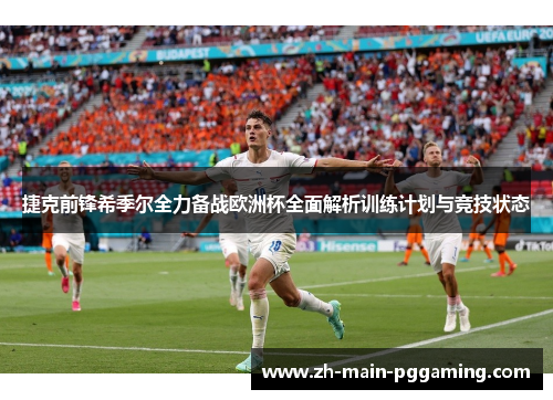 捷克前锋希季尔全力备战欧洲杯全面解析训练计划与竞技状态