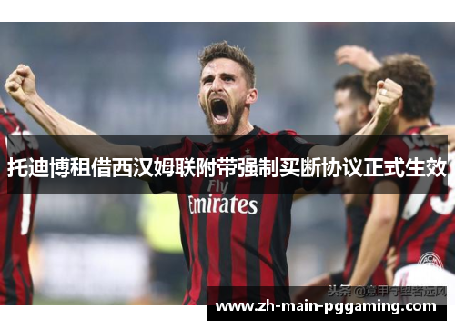 托迪博租借西汉姆联附带强制买断协议正式生效 托迪博租借西汉姆联附带强制买断协议正式生效