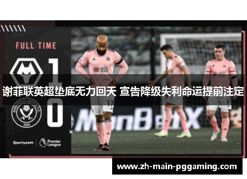 谢菲联英超垫底无力回天 宣告降级失利命运提前注定